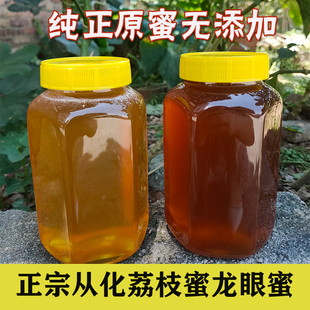 2斤装从化荔枝蜜2025年新鲜龙眼蜜100%纯正天然土蜂蜜成熟峰蜜糖