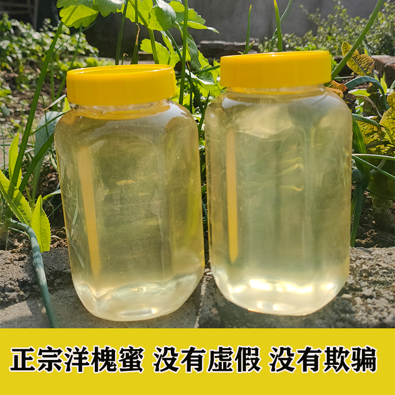 土蜂蜜洋槐花纯正天然农家自产新鲜成熟野生水白色洋槐峰蜜