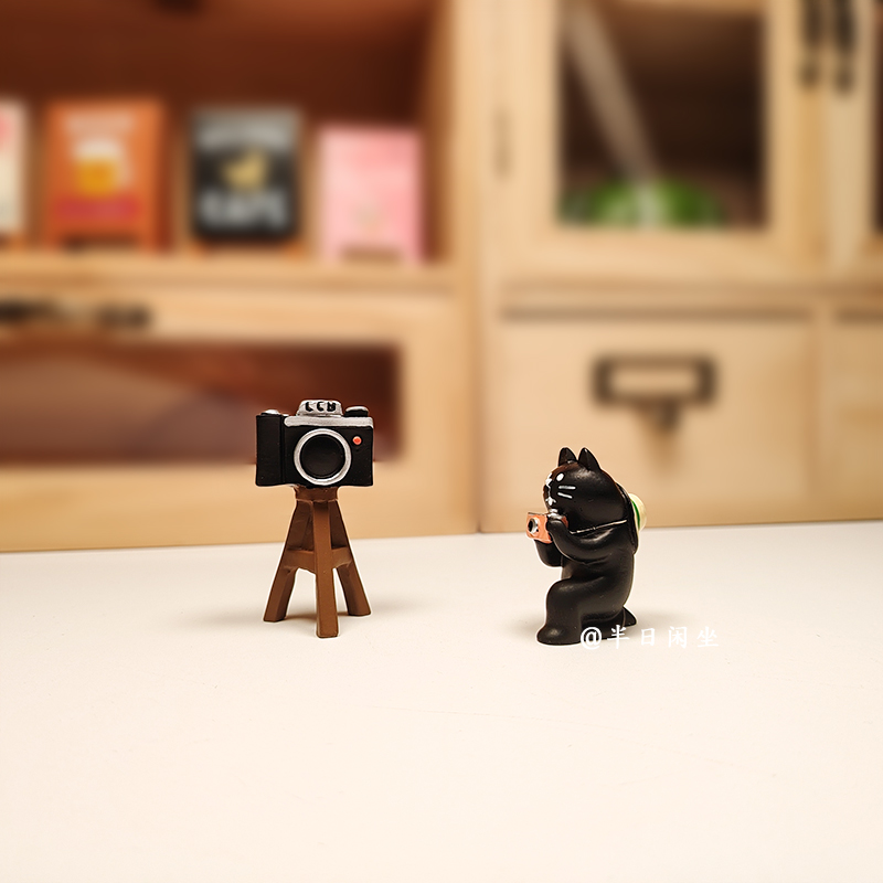 猫咪拍摄照相机摄影道具摆件日式可爱微景观场景搭配zakka圣诞节