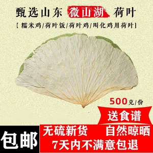 2020年新整张精选荷叶茶片干荷叶500g叫花鸡糯米鸡粽叶粽子专用