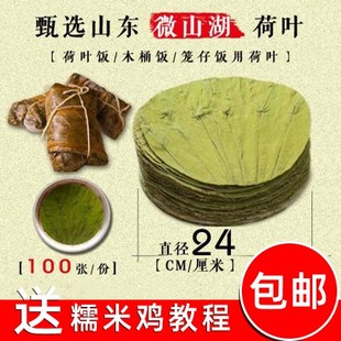 份 2023年新微山湖干荷叶片定制圆形24CM荷叶饭糯米饭木桶饭100片