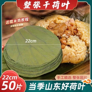 份 微山湖干荷叶切片圆形22厘米做荷叶蒸饭木桶饭笼仔饭50张