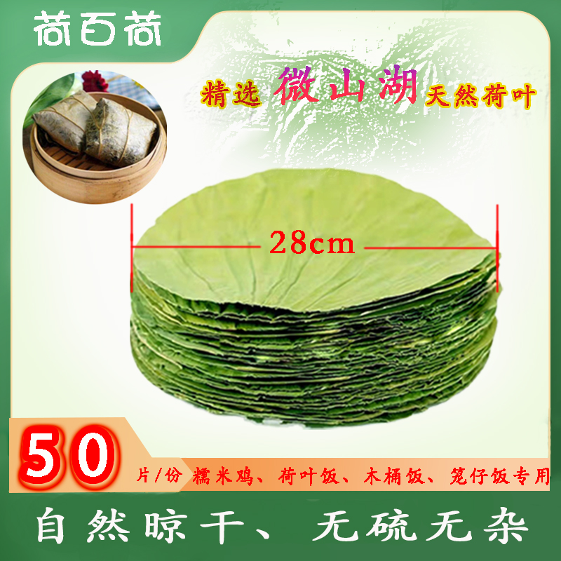 24年新货微山湖荷叶切片圆形50张