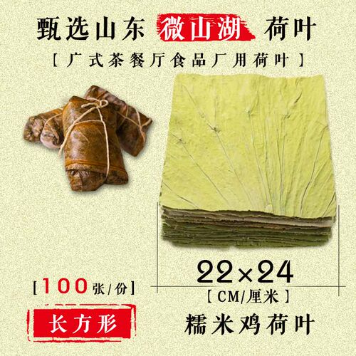 微山湖整张干荷叶茶长方形切片定