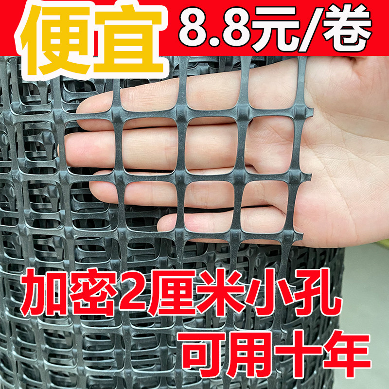 养鸡防护网黑色塑料网格围菜园