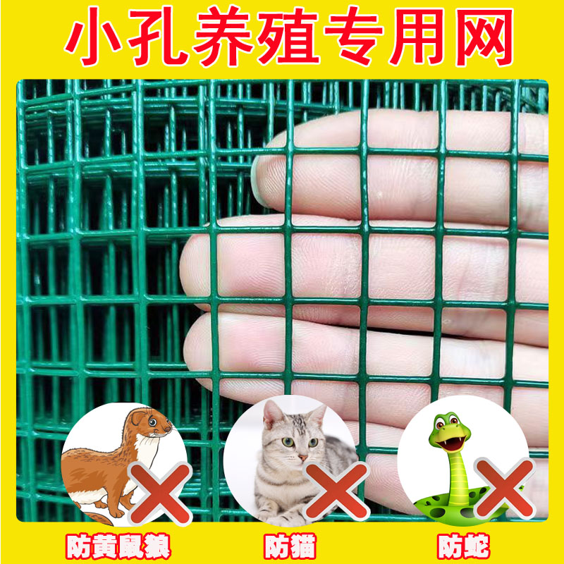 小孔养殖网格硬塑铁丝网片鸽子鸟