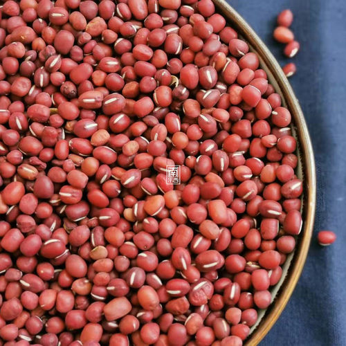 南东西 高原山地种植 新红小豆非赤豆500g 农家自产 无抛光很粉糯