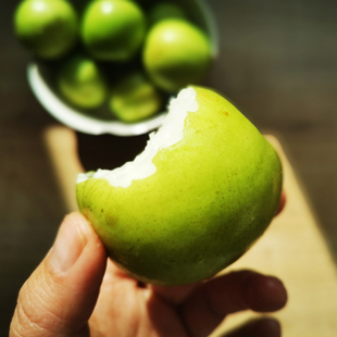 南东西 西双版纳云枣苹果枣大青枣牛奶枣 脆嫩清甜 皮薄多汁 圆通