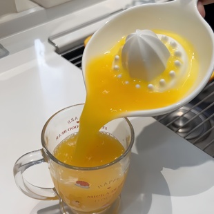 陶瓷榨汁器鲜榨橙汁柠檬家用小型水果工具挤压式榨汁器原汁原味
