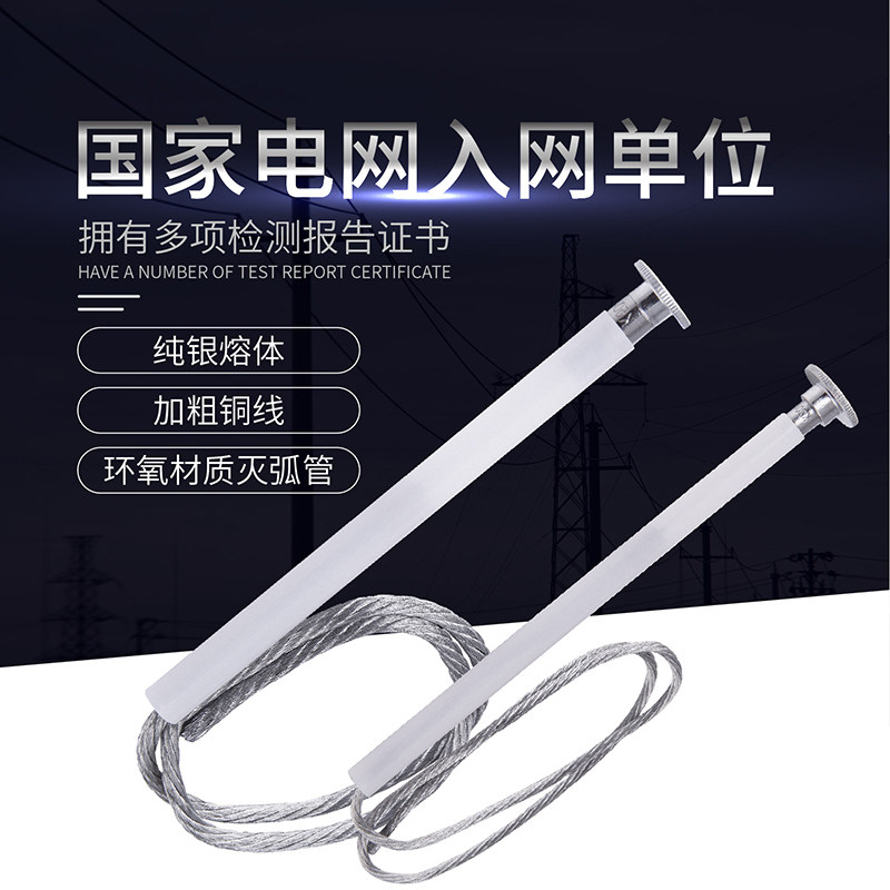 施恩禧同款跌落式熔断器用高压快速熔丝保险丝12KV-5A20A40A100A图片