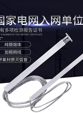 施恩禧同款跌落式熔断器用高压快速熔丝保险丝12KV-5A20A40A100A