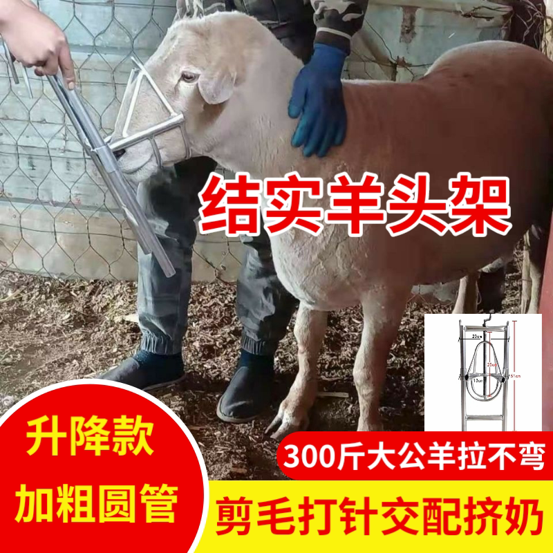 羊头固定架升降调节固定支架打针挤奶配种羊架子结实耐用
