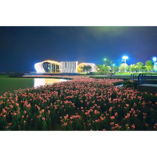 1张 原创高清风光照片 苍海湖夜景 美人蕉 高分辨率图片素材