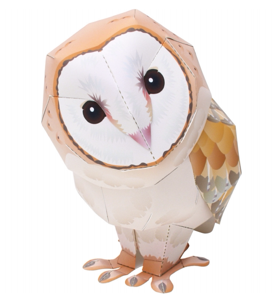 儿童益智diy立体手工制作仿真动物小鸟苍鸮猫头鹰3d纸质模型玩具