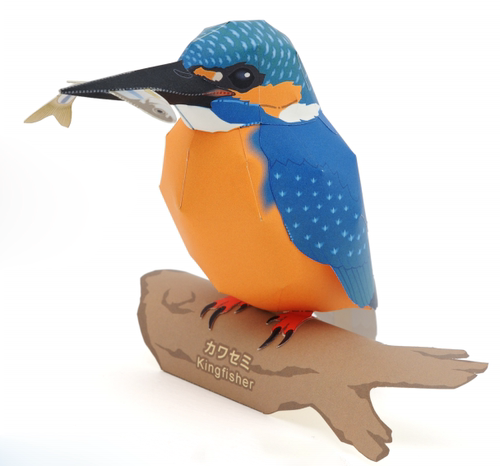 立体手工制作小动物翠鸟3D纸模型