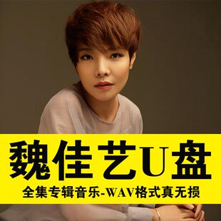 魏佳艺全收录车载U盘歌曲华语流行热门伤感情歌无损高音质优盘