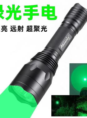 绿光手电筒绿光灯超亮聚光户外远射探照灯led灯照杂质灰尘检测