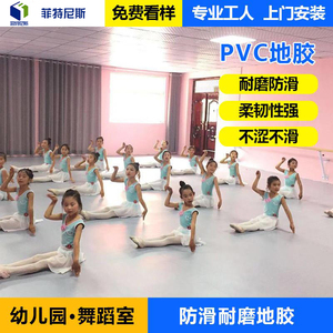 专业舞蹈地胶菲特尼斯