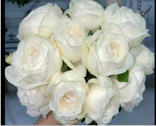 婚礼之路白包子切花灌木月季