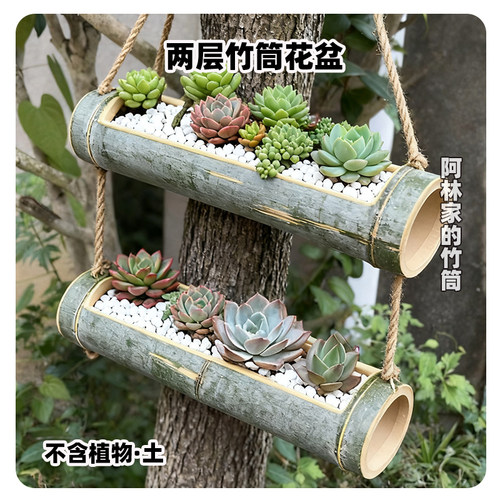 吊绳竹子花盆作业完成优秀