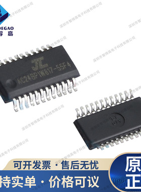 杰理 AC6955F4 单声道 封装SOP-24 蓝牙芯片IC 原装 TWS耳机芯片