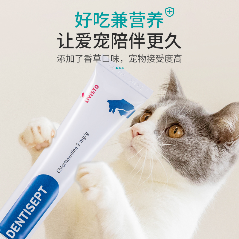 汉维宠仕宠齿健dentisept犬猫口腔护理膏猫咪狗狗清新口气20g