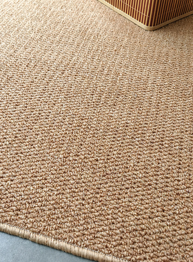 华德仿剑麻地毯摄影棚入户门客厅茶室卧室榻榻米飘窗猫抓黄麻地垫