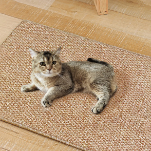 猫抓板耐磨不掉屑仿剑麻垫大号磨爪器保护沙发防猫爪地毯猫咪猫窝