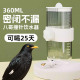 八哥饮水器鹦鹉喂水器自动水壶专用喝水器鸟用挂式 大容量鸟笼配件