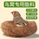 鹦鹉珍珠鸟鸟窝垫料新型椰丝鸟巢草窝椰子壳专用繁殖四季 通用文鸟