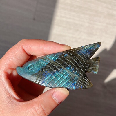 天然拉长石热带鱼14摆件83*42*10mm41g
