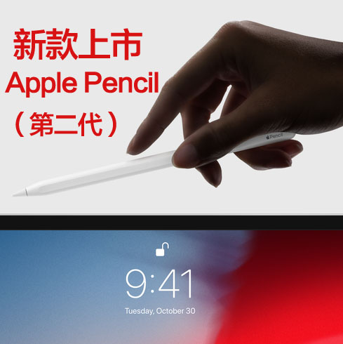 µçÈݱÊ