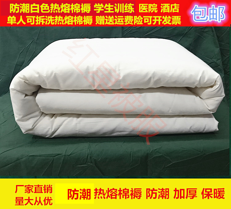 单人床垫防潮床垫可拆洗