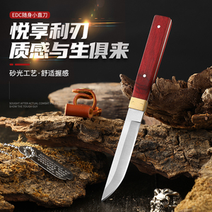 户外小刀野营烤肉吃肉刀水果刀