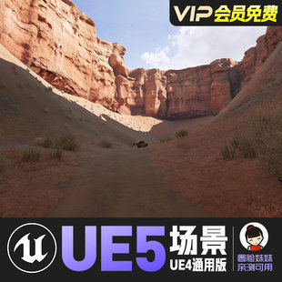 UE5虚幻4_西部戈壁沙漠中东峡谷 3D Scanned Canyon