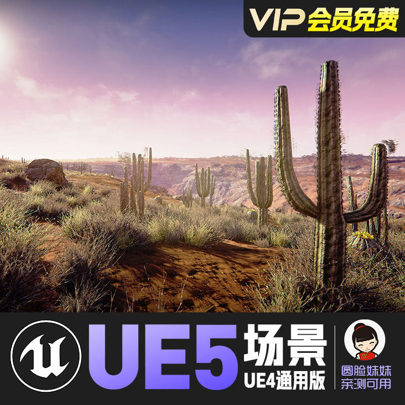 UE4虚幻5_西部沙漠戈壁中东游戏场景 Semi Arid Desert