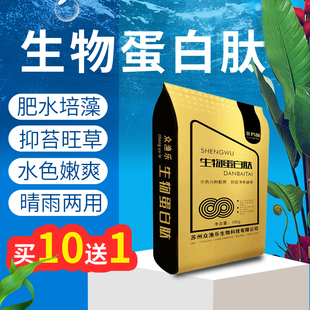 氨基酸肥水膏水产养殖酵母蛋白肽肥水王小球藻种小龙虾蟹肥水培藻
