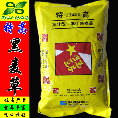 特高宽叶四倍体黑麦草种子 美国百绿进口 南方牛羊鹅兔鼠鱼牧草籽 - 封面