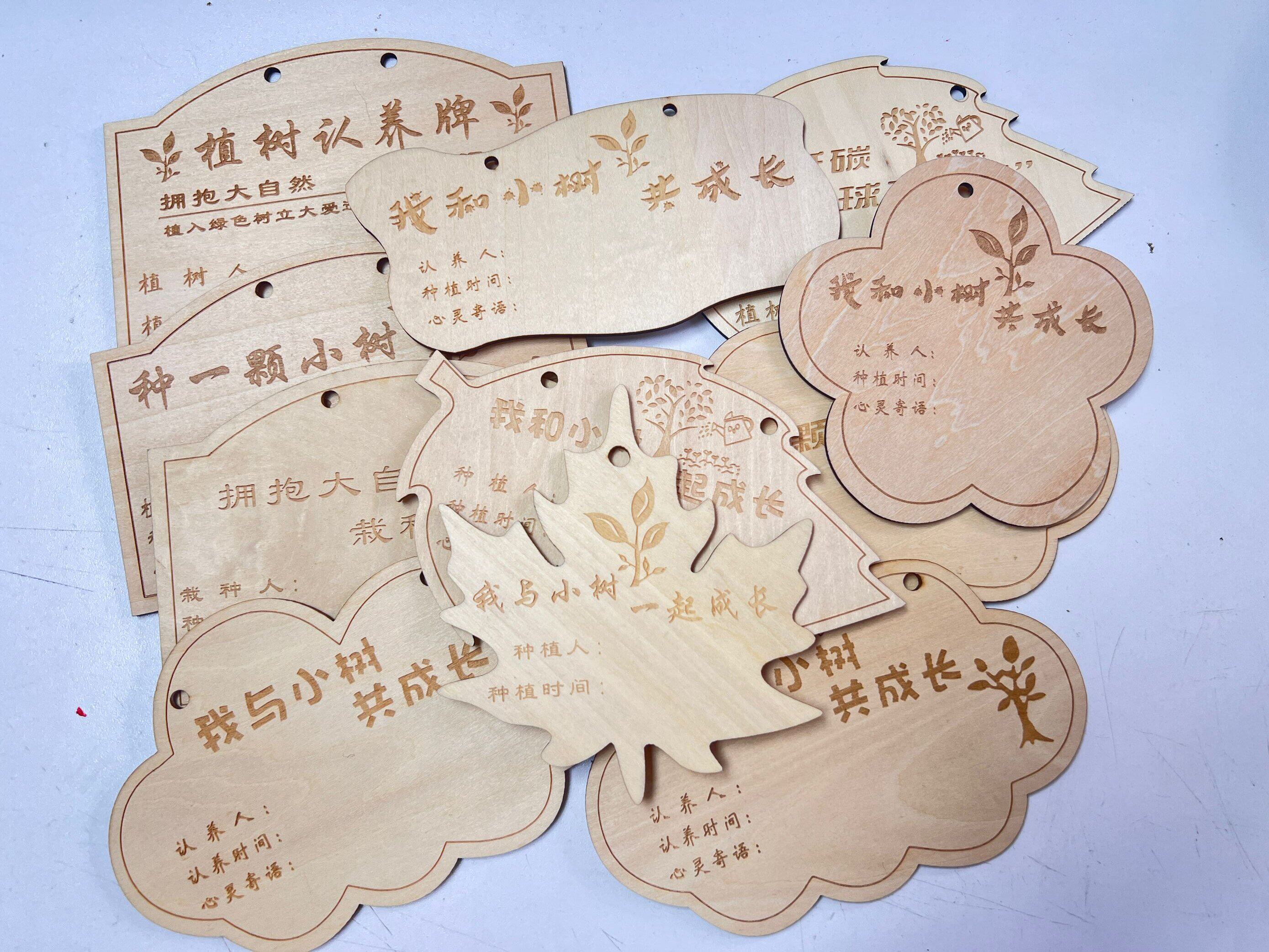 10片定制木质挂牌 植树节挂牌树木认养牌 学校植树节吊牌名字卡