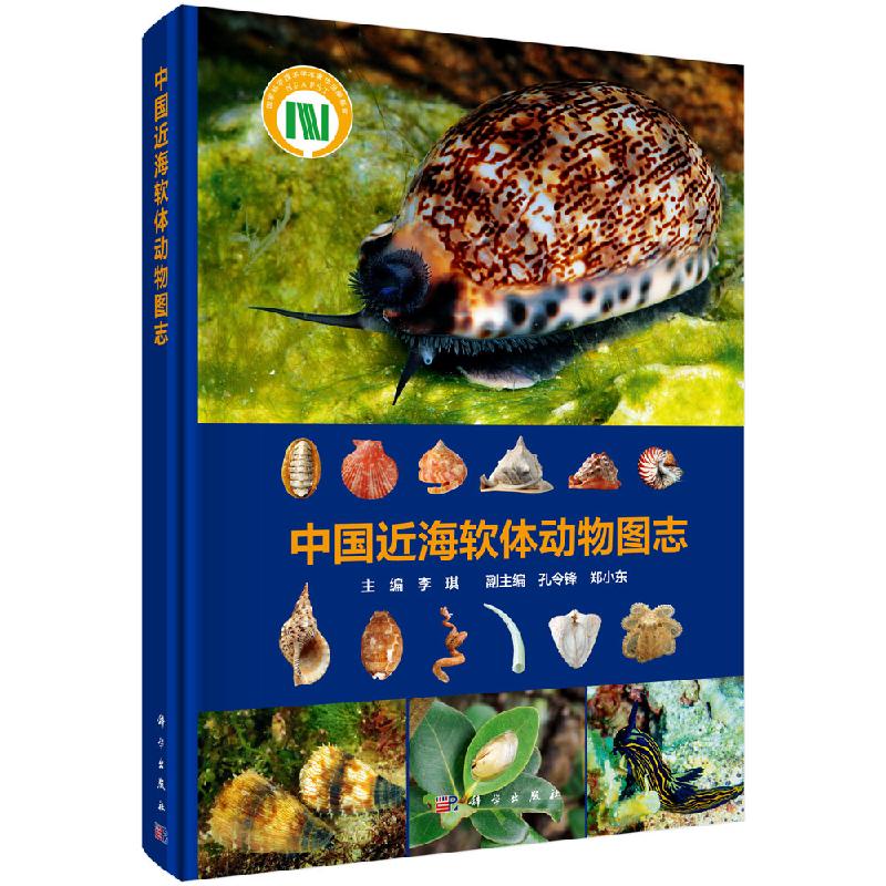 按需印刷 POD版 发货需要 2-4天