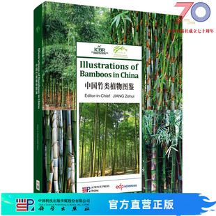 中国竹类植物图鉴 江泽慧科学出版 社 英文版