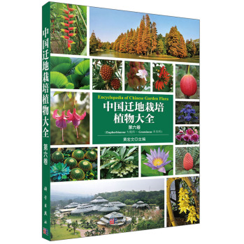 黄宏文