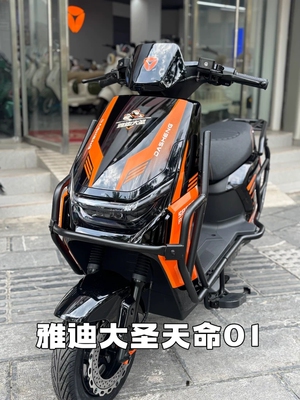 雅迪大圣天命01电动车脚垫防水防滑耐磨橡胶脚踏垫脚踏皮脚踩垫子