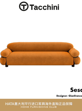 Tacchini 沙发金属意大利进口家具海淘代购现代设计师 Sesann