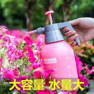 家用清洁消毒洒水喷雾浇花补水喷水壶大容量手压喷水壶 喷壶气压式