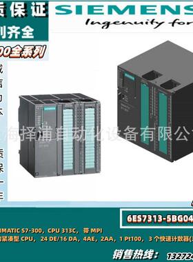 CPUS7-300西门子6ES7313-6BG04-0AB0数字量输入6ES73126BF040AB0
