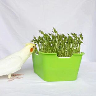 鹦鹉饲料发芽鸟草盒混合粮种子粮发芽粮玄风牡丹虎皮鸟粮食滋养丸