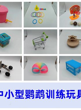 鹦鹉益智玩具套装虎皮牡丹玄凤训练鸟用品套圈滑板推车存钱罐道具