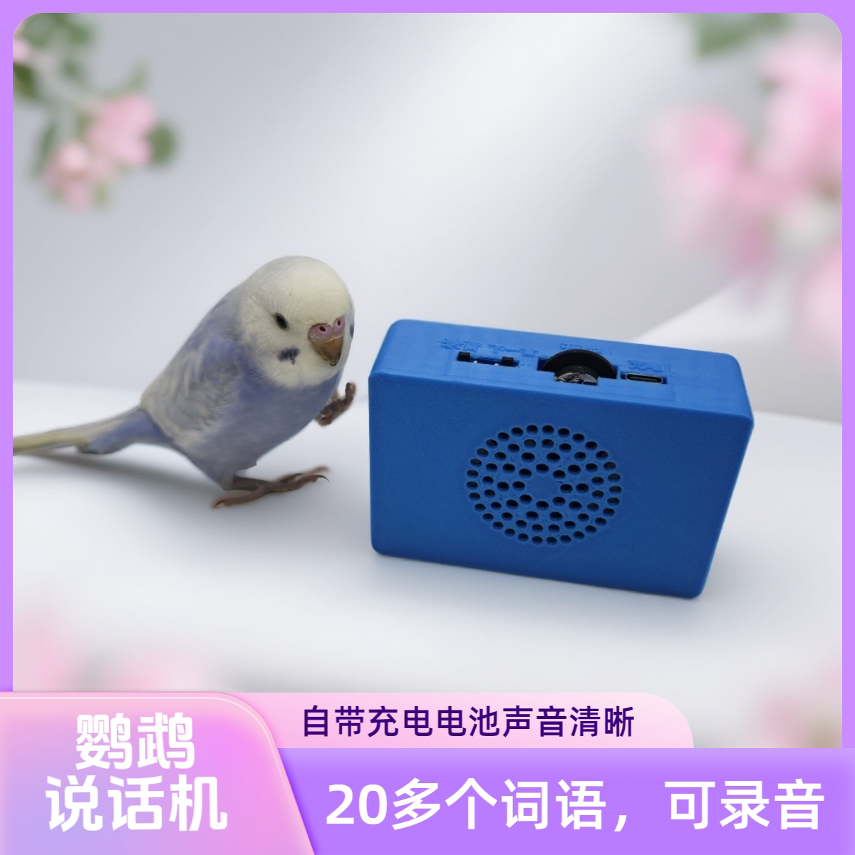 全国包邮鸟用品快乐学习机学说话八哥鹩哥鹦鹉学话机训练机学话器
