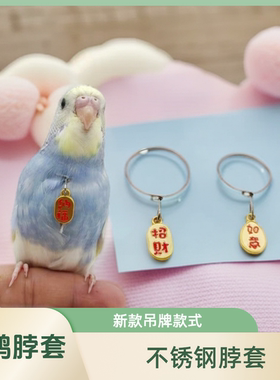鹦鹉脖套不锈钢材质玄凤牡丹虎皮
